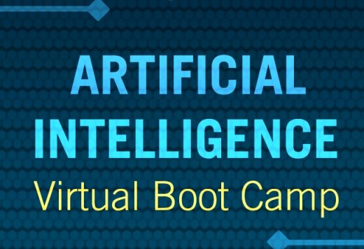 2020 Virtual Boot Camp: AI
