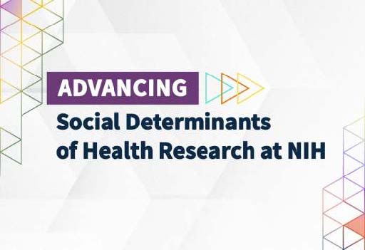 Advancing Determinants image