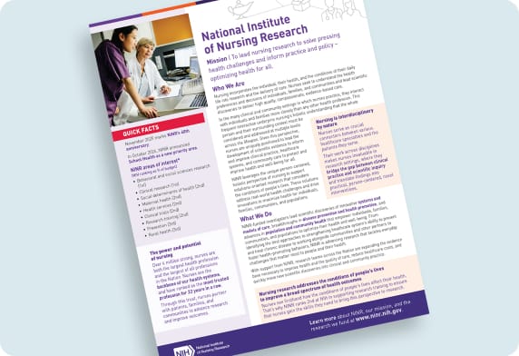 Brief overview Factsheet thumbnail