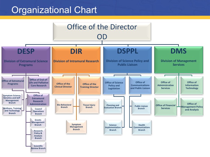 ninr organizational structure national institute of nih od org chart