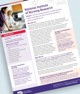 Brief overview Factsheet thumbnail