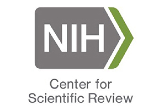 NIH Center for Scientific Review Logo