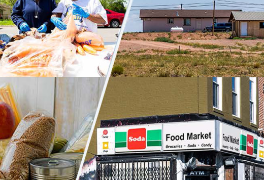 Food Insecurity, Neighborhood Food Environment, and Nutrition Health Disparities