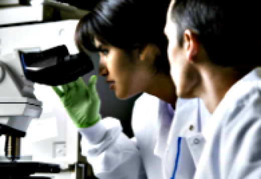 two scientists at a microscope