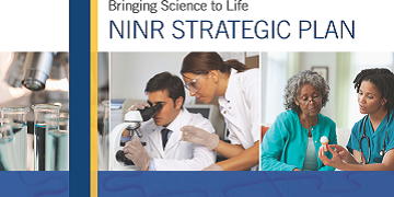 2011 strategic plan